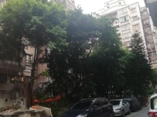 雅怡居方正一房,交通便利,5号地铁沿线