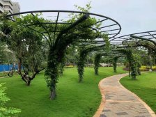 急卖,西海岸繁华地段,正规已房出售,房子采光通风好