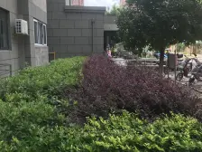 盈浦·清河湾佳苑二期·2室·2厅