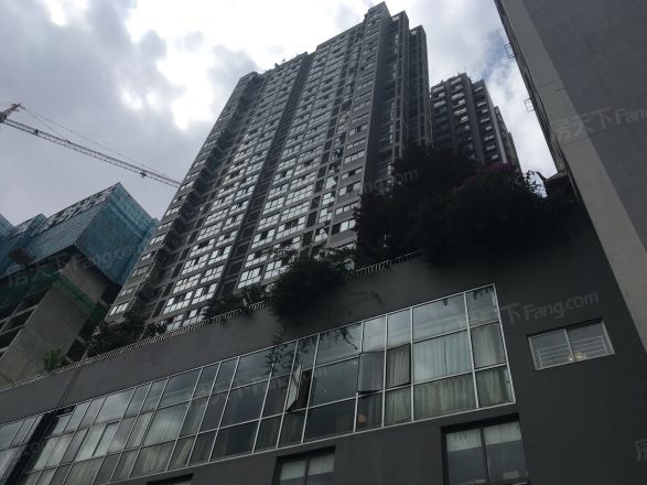 银玺国际实景图