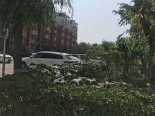 满五年唯一商品房!60万豪装大复式!带1地面车位!总监推荐!