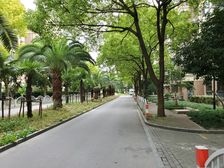 客厅带阳台,环境优美,精装修,一楼送花园