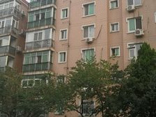 水仙园3室1厅南北