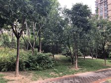 满五唯一 南北通透三居 精装修 户型少 两梯两户