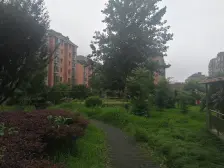 奉贤新城宝龙地铁口、新华医院、南北通两房、中间楼层