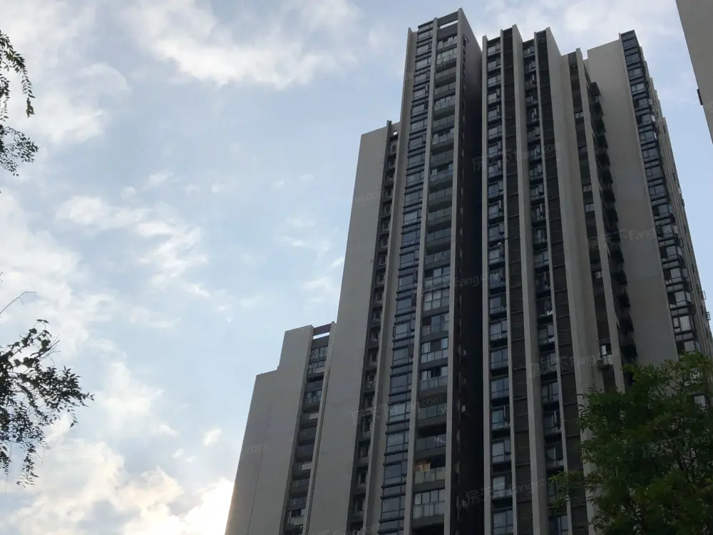 实景图