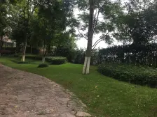 叠拼,横厅,带花园,跃层