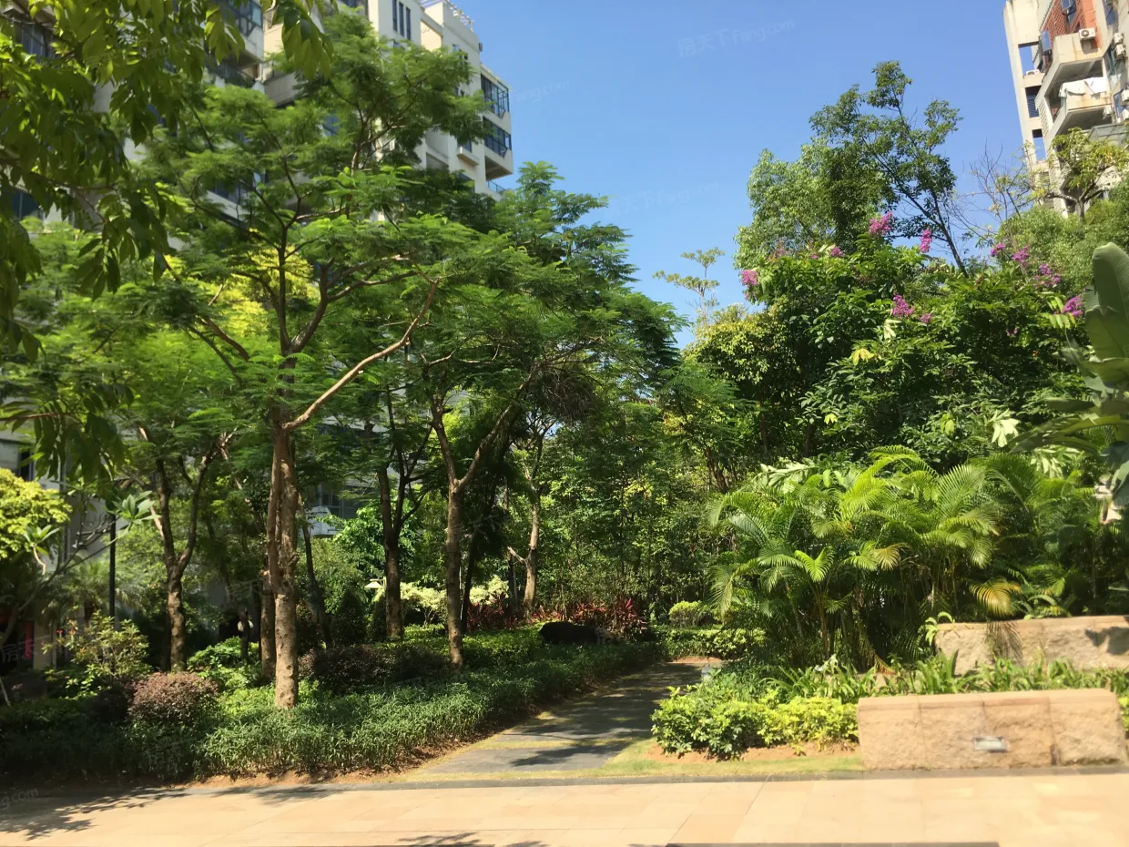 【厦门水晶森林小区,二手房,租房】- 厦门房天下