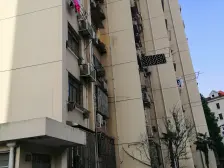 济阳一村 1室1厅 东南