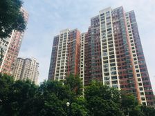 蜀道云上城1室2厅南