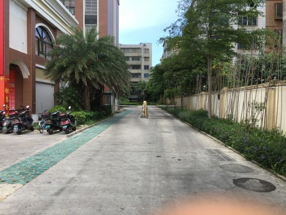 阳光金海岸实景图