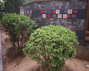 武夷花园·京贸中心·南向一居、业主诚心出售!