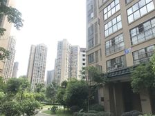 花样年花样城五期3室1厅南