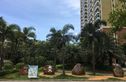 阳光金海岸实景图