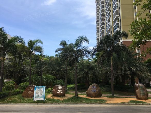 阳光金海岸实景图