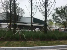 金科南山 5室2厅 南