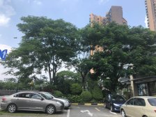 海伦堡精装四房,业主诚意出售,可看江。