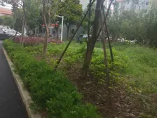 高铁北站 近地铁1 3 19号线 经典小三房满五户型视野好