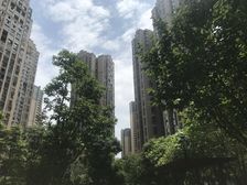 花样年花样城五期 3室2厅 东南