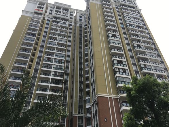 阳光金海岸实景图