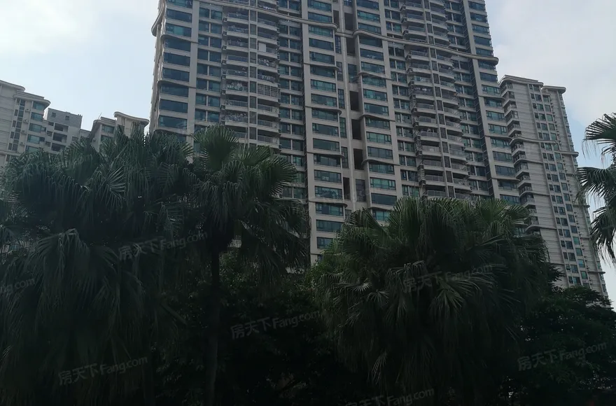 广州雅居乐花园十年小雅图片相册,广州雅居乐花园十年小雅户型图,样板间图,装修效果图,实景图-广州房天下