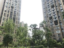 花样年花样城五期 2室1厅 南