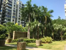 枋湖水晶森林161.56平南北通透3房2厅带阳台采光好