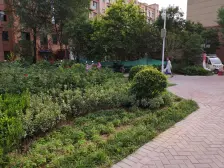 郡临天下二期小高层 精装好房,采光好,视野好。