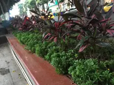 两路口 重庆中心三房388万