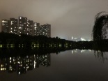 周边斑马湖夜景