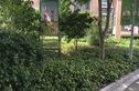 盛世又一村实景图