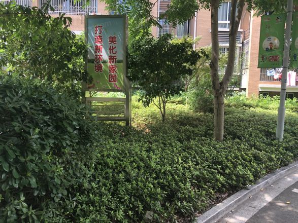 盛世又一村实景图