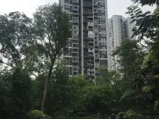 龙头寺 招商花园城锦园一房98万