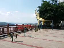 龙洲湾 颜龙山水城一房51.5万