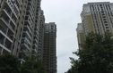 阳光金海岸实景图