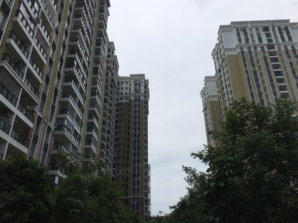 阳光金海岸实景图