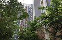 华杰·赫尔馨居实景图