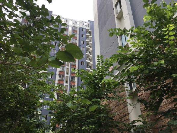 华杰·赫尔馨居实景图