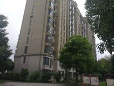 南枫线双轨交中间楼层南北厅电梯房