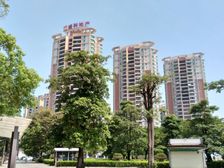 满五唯一业主急售高楼层朝南50米公园