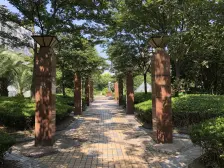 龙沟新苑 2室2厅 南