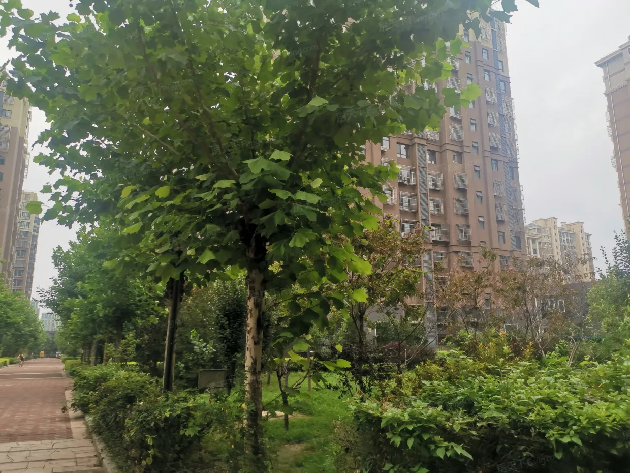 【唐山诚安逸品花园小区,二手房,租房】- 唐山房天下