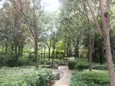 碧沙岗,电力小区,电梯双气,精装四房,业主诚售。