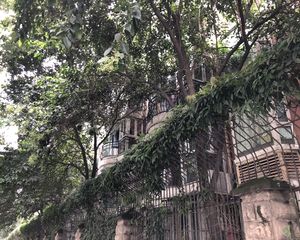 牡丹御园3室2厅南