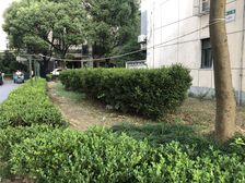 总价低,刚需上车拎包入住,精装,配套齐全