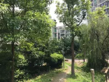 凉城·万峰梦湖苑·2室·2厅