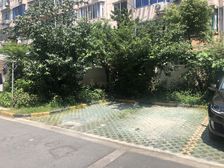 双柏小区2室1厅南北