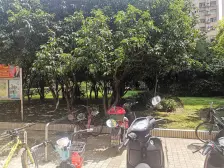 近地铁 无抵押 产权清晰,现场实勘,店长力推