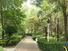 双卫格局 临绿城广场碧沙岗公园 地铁口 配套成熟 精装修