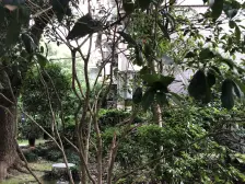 豫欣公寓2室南朝向958.00万元/套出售